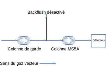 injection with backflush device (inactive mode)