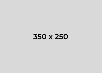 placeholder image500